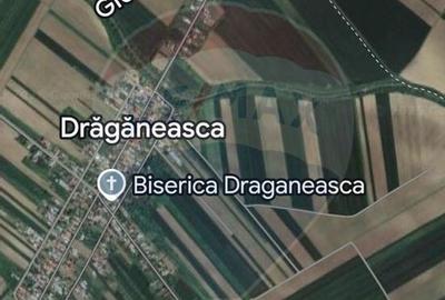 Teren de 25066 mp, în Drăgăneasca - 6
