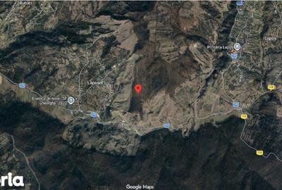 Teren de 140670 mp, în Lapoș - 6