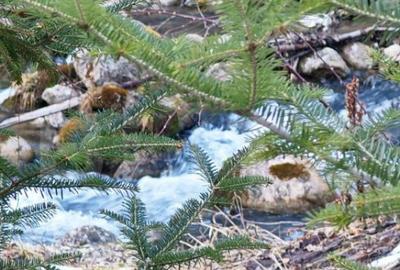 Casa de vacanta de vanzare in Rasnov - Brasov - 22