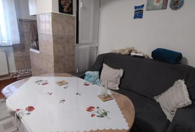 Apartament cu 2 camere decomandat, mobilat în Anda - 17