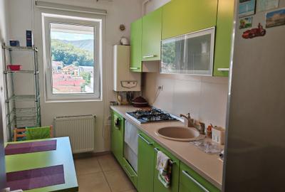 Apartament 3 camere mobilat si utilat intrare Racadau - ALPHAVILLE - 12