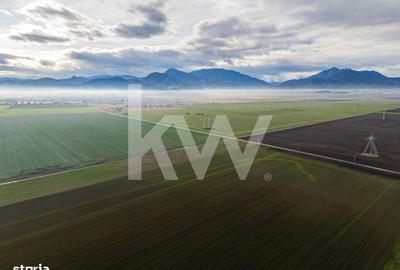 Teren de 16000 mp, în Hărmanului - 8