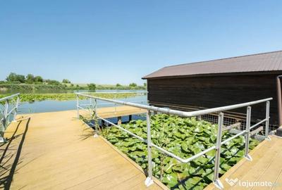 Casă cu 7 camere cu Piscina în Ciofliceni - 15