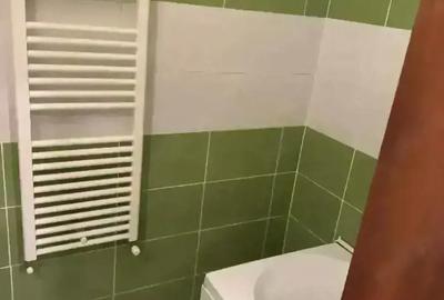 Garsonieră semidecomandată în Craiovei - 1
