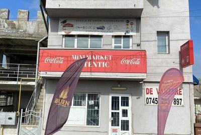 Casă cu 4 camere cu Teren 357 Mp în Ion Neculce - 2