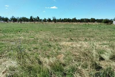 Teren în Central - 1