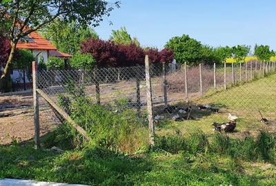 Teren de 1000 mp, în Oituz - 6