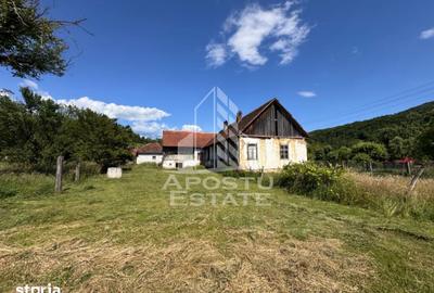 Casă cu 4 camere cu Teren 3334 Mp în Roșia Montană - 7
