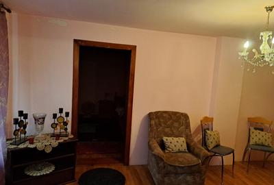 Casa mare cu 2 spatii comerciale, in Faget - 27