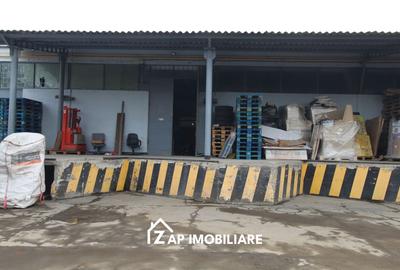 Spațiu industrial, de 250 mp, în Gheorghe Doja - 4