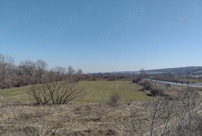 Teren de 20000 mp, în Valea Ursului (Tâmna) - 3