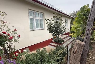 Casa batraneasca, 65 mp si teren intravilan 5600 mp, Adancata - 1