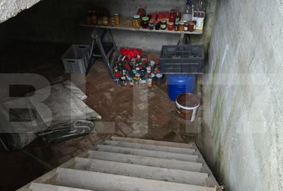 Casa 5 camere 240 mp si teren 20 ari - Odoreu - 4