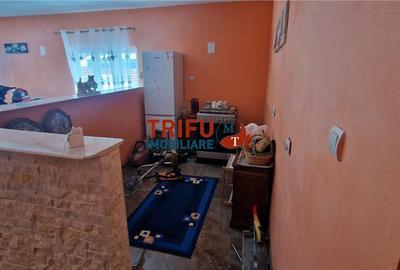 Casă cu 4 camere cu Teren 1000 Mp în Ighiu - 9