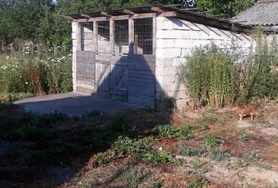 Casă cu 2 camere cu Teren 1439 Mp în Cermei - 1