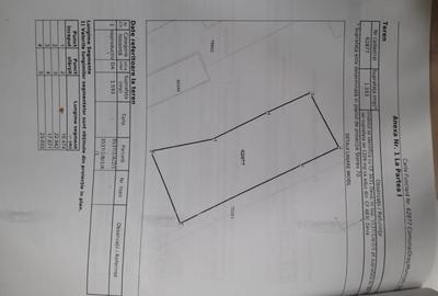 Teren Construcții intravilan de 1593 mp, în Gojdu - 7