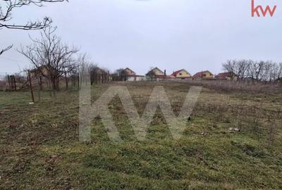 Casă cu 7 camere cu Teren 2354 Mp în Malu Mare - 14