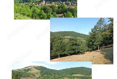 Casa cu pamanturi si oportunita?i pentru cre?terea animalelor - 3