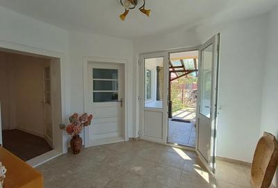 Casă cu 5 camere cu Teren 2509 Mp în Icoana - 1