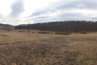 Spațiu comercial, în Sigmir - 4