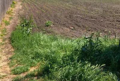 Teren Stanesti - Giurgiu, intravilan, drum asfaltat, gaz, curent - 3