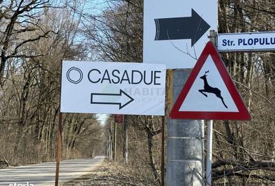 Spațiu comercial, în Ciolpani - 2