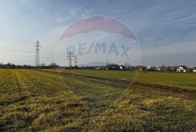 Teren 4,000mp Balotesti / Strada Rozelor - 8