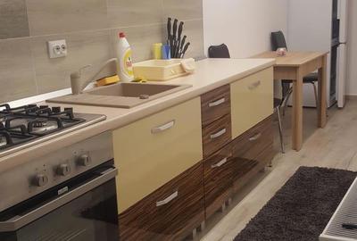 Garsonieră în Gorjului