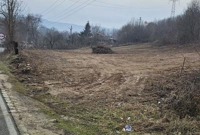 Spațiu comercial, în Eșelnița - 6