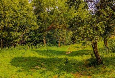 COMISION 0% Teren 11,381 mp Moieciu de Jos / Oportunitate... - 2