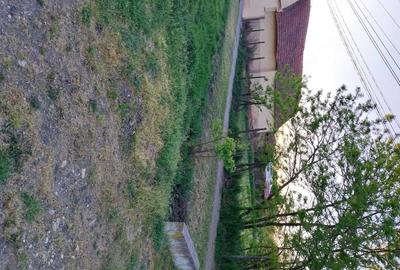 Casă cu Teren 2158 Mp în Comloșu Mare - 3
