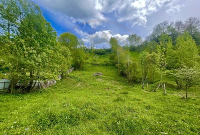 Teren de 839 mp, în Valea Doftanei - 2