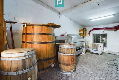 Casă individuală cu 6 camere cu Canalizare în Miniș - 23