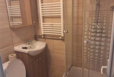 Garsonieră semidecomandată, mobilată în Buziașului - 5