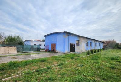 Hala cu teren de inchiriat - 1