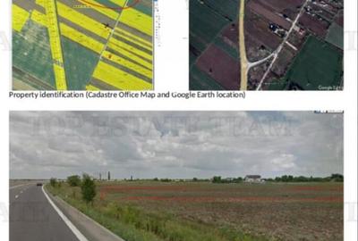 Teren de 8700 mp, în Adunații-Copăceni - 6