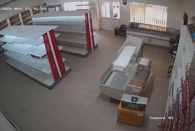 Casă individuală cu 2 camere cu Teren 200 Mp în Sâg - 4