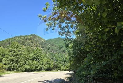 Teren 4,000mp Pascoaia / Soseaua Punctul Chiliilor - 10