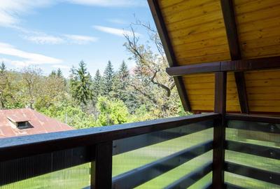 Vanzare casa de vacanta, Slanic Prahova - 29