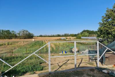 Teren de 3200 mp, în Grădinari - 10