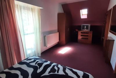 Casa de vacanta sau pensiune situata langa Cabana Trei Brazi Predeal - 29