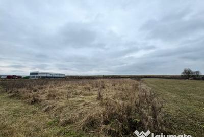 Teren de 2800 mp, în Satulung - 3
