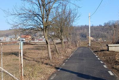 Casă cu 4 camere cu Teren 4400 Mp în Costișa - 1