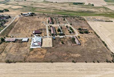Teren Construcții intravilan de 90000 mp, în Bărăteaz - 17