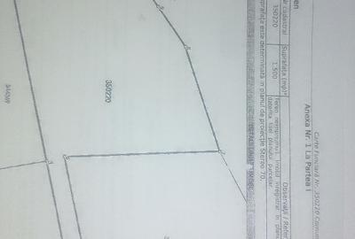 Teren Construcții intravilan de 3000 mp, în Sopor - 5