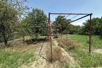 Casă cu 3 camere cu Teren 886 Mp în Ciarda Roșie - 1