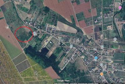 Teren de 1000 mp, în Aroneanu