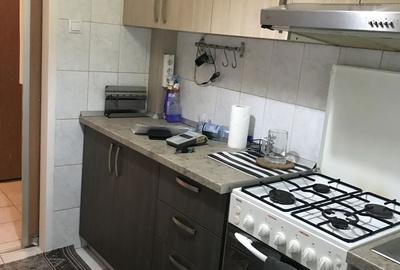 Apartament cu 2 camere în Podu Roș - 9