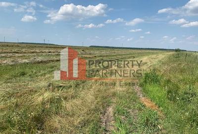 Teren pentru investitii rezidentiale, Moara Vlasiei, Caciulati, A3 - 3