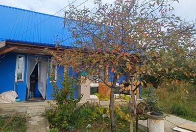 Casă cu Teren 500 Mp în Mirău - 4